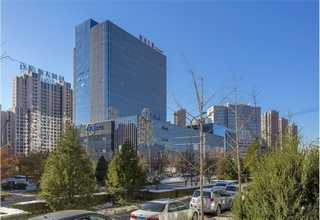 四川美国云杉薄木哪里有